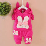 Fall baby girls clothes sets outfits hooded sweatshirt + pants tracksuit for newborn