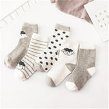 5 Pair/lot Baby Socks Cotton Kids Girls Boys Children Socks For 1-10 Year 2019 autumn winter New infant toddler Kids Socks