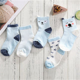 5 Pair/lot Baby Socks Cotton Kids Girls Boys Children Socks For 1-10 Year 2019 autumn winter New infant toddler Kids Socks